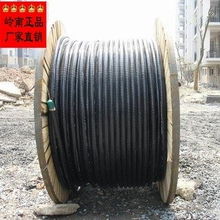 廣州嶺南電纜股份 電氣設備用電纜產品與計算機軟硬件技術開發綜述